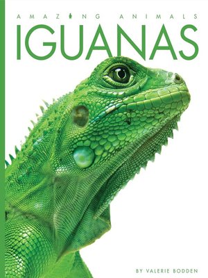 cover image of Iguanas